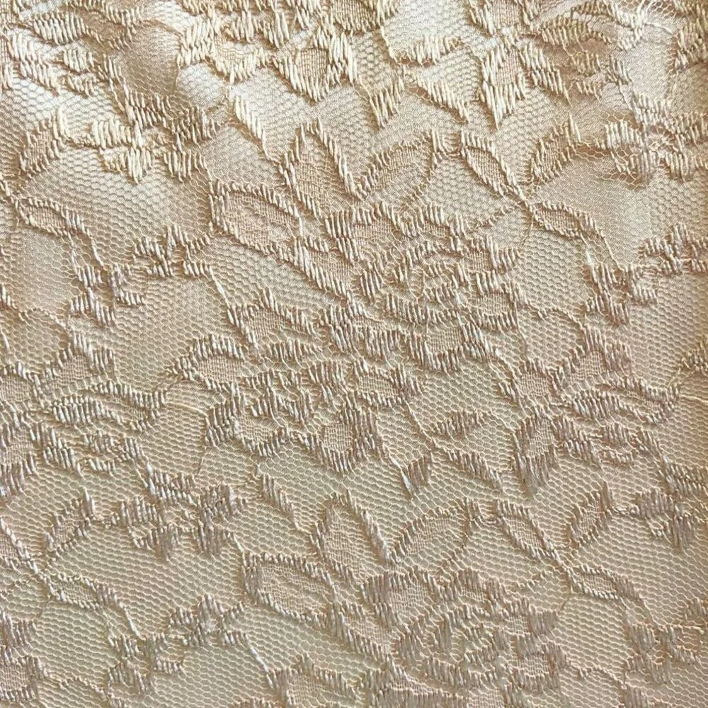 Angelic TAHARI ARTHUR S LEVIN Champagne Satin Georgette Angel Sleeve Lace Overla